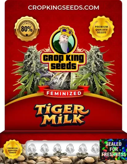 Tiger Milk Feminized