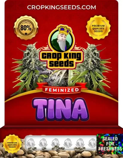 Tina Feminized