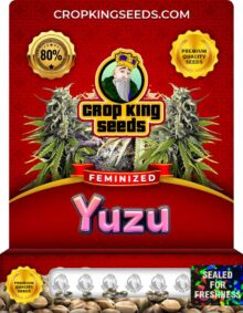 Yuzu Feminized