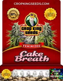 Cake Breath Strain