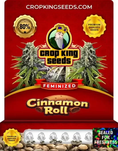 Cinnamon Roll Feminized