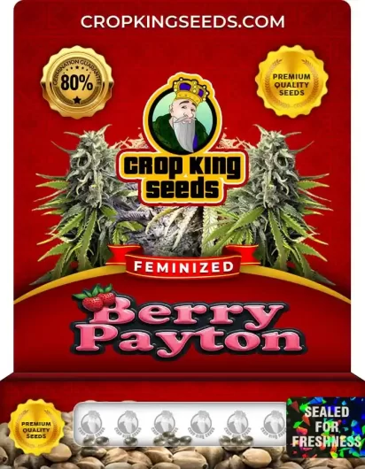 Berry Payton Strain