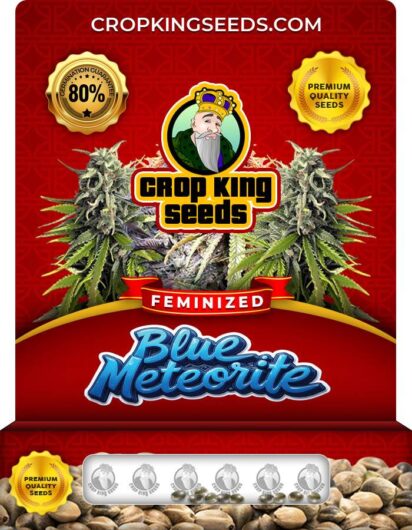 Blue Meteorite Strain