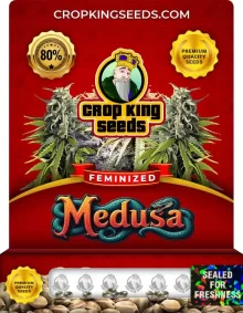 Medusa Strain