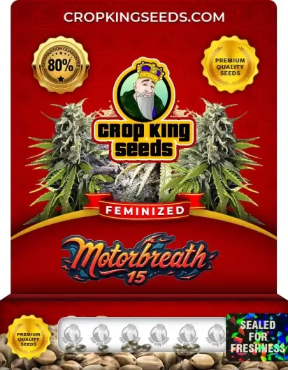 Motorbreath 15 Strain
