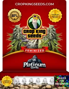 Platinum Gorilla Strain