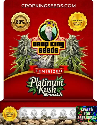 Platinum Kush Breath Strain
