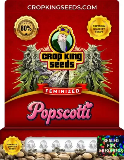 Popscotti Strain