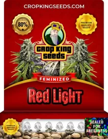 Red Light Strain