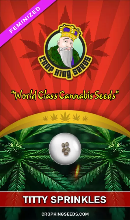 Titty Sprinkles Strain Feminized