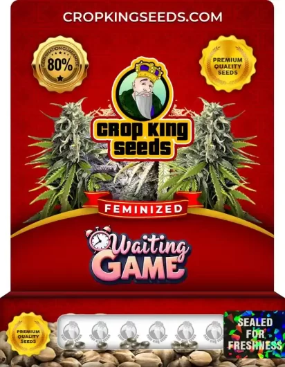 Waiting Game Strain