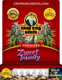 Zweet Insanity Strain