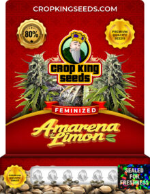 Amarena De Limon Strain Feminized