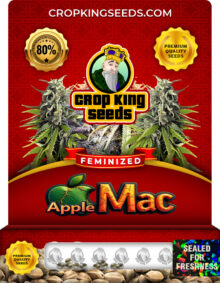 Apple Mac Strain Feminized