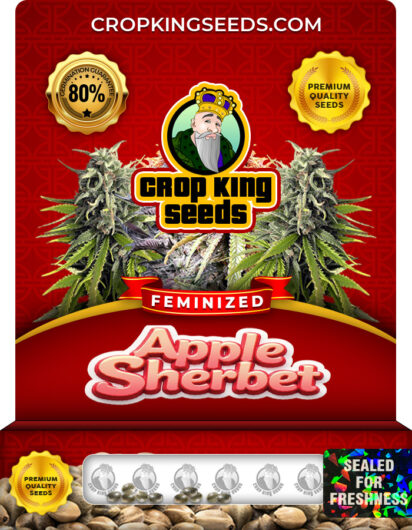 Apple Sherbet Strain Feminized