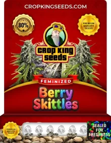 Berry Skittles Feminized