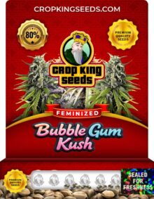 Bubble Gum Kush