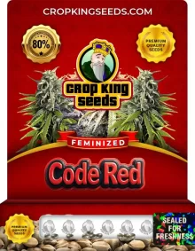 Code Red Feminized