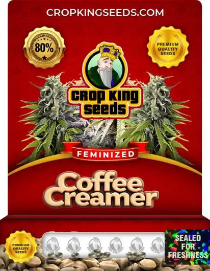 Coffee Creamer Feminized
