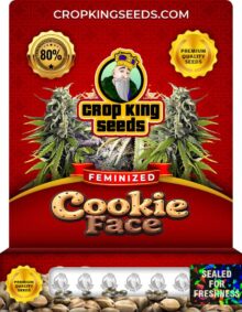 Cookie Face Feminized