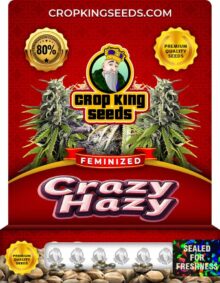 Crazy Hazy Feminized