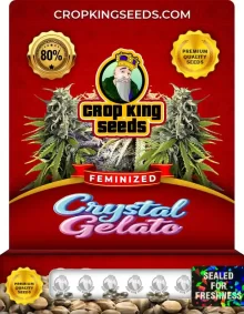 Crystal Gelato Feminized