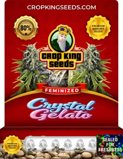 Crystal Gelato Feminized