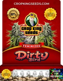 Dirty Bird Feminized