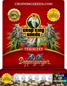 Doppelganger Feminized