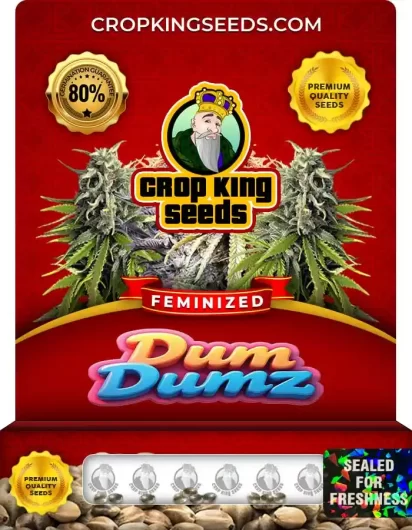 Dum Dumz Feminized
