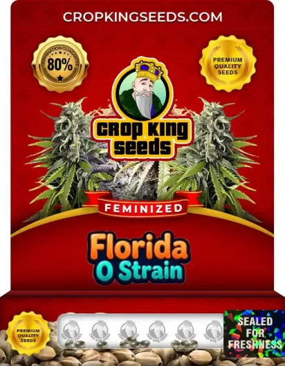 Florida O Feminized