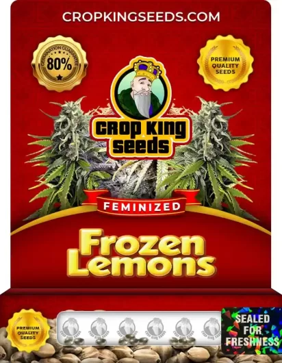 Frozen Lemons Feminized