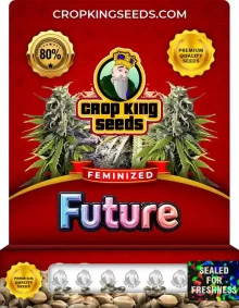 Future Feminized