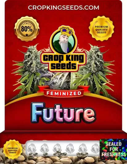 Future Feminized