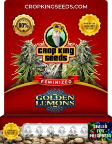Golden Lemons Feminized