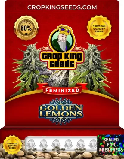 Golden Lemons Feminized