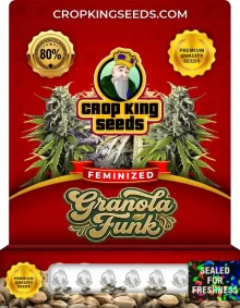 Granola Funk Feminized