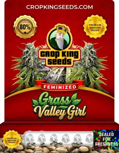 Grass Valley Girl Feminized