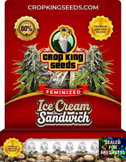 Ice Cream Sandwich Feminized