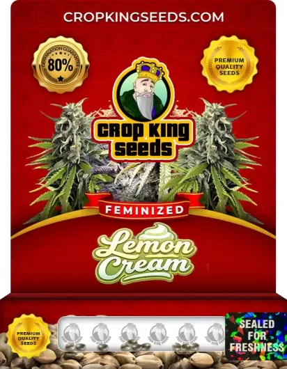 Lemon Cream Feminized
