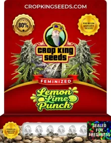 Lemon Lime Punch Feminized
