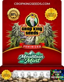 Mountain Top Mint Feminized