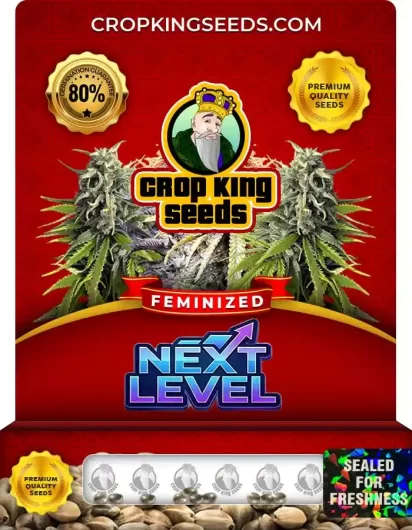 Next Level Feminized