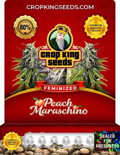 Peach Maraschino Feminized