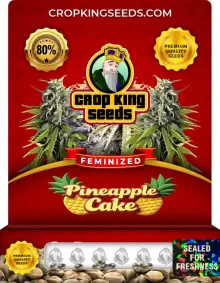 Pineapple Cake Feminized
