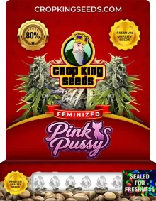Pink Pussy Feminized