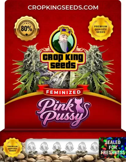 Pink Pussy Feminized