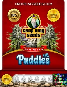 Puddles Feminized