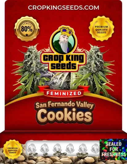San Fernando Valley Cookies Feminized