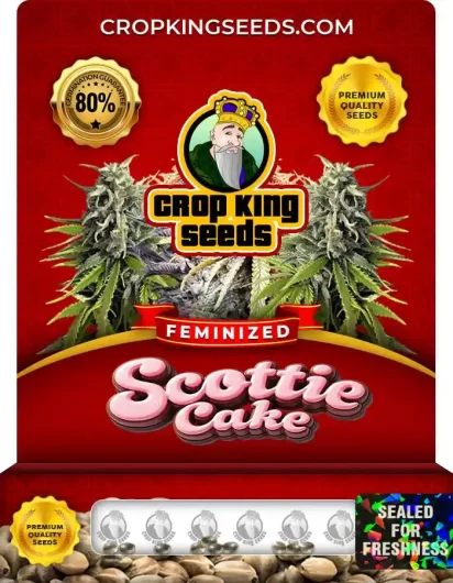 Scottie Cake Feminized